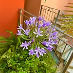 Corte Antica Con Splendida Jacuzzi