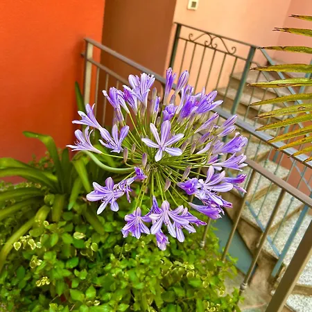 Corte Antica Con Splendida Jacuzzi