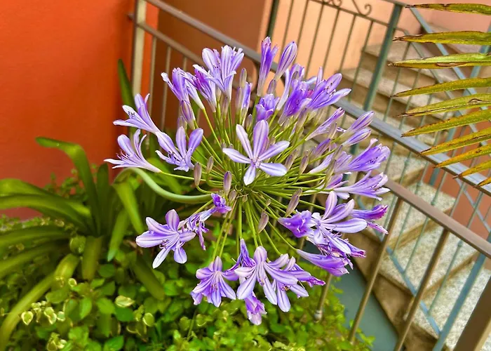 Corte Antica Con Splendida Jacuzzi